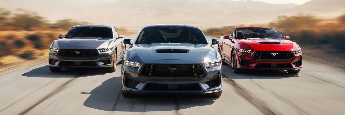 2024 Ford Mustang at Stanley Ford in Sweetwater, Texas