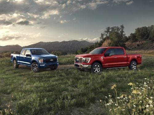 2023 Ford F-150 two trucks parked in a field
